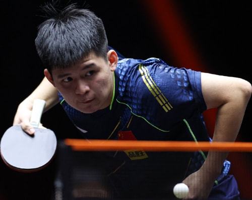 项在世界范 项在世界范