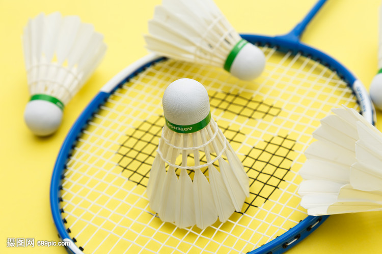 球迷们的规 球迷们的规